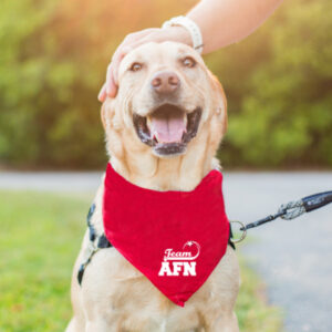 Apparel - Team AFN - Doggy Bandana